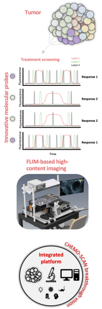The CHEM-SCAN process